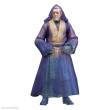 Hasbro HASF6998 - Star Wars Episode VI Black Series Actionfiguren 3er-Pack Force Spirits 15 cm