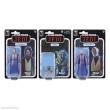 Hasbro HASF6998 - Star Wars Episode VI Black Series Actionfiguren 3er-Pack Force Spirits 15 cm
