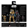 Hasbro HASF7012 - Star Wars: Obi-Wan Kenobi Black Series Actionfiguren 2er-Pack NED-B & Purge Trooper Exclusive 15 cm
