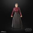 Hasbro HASF7036 - Star Wars: Ahsoka Black Series Actionfigur Morgan Elsbeth 15 cm