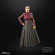 Hasbro HASF7036 - Star Wars: Ahsoka Black Series Actionfigur Morgan Elsbeth 15 cm