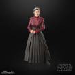 Hasbro HASF7036 - Star Wars: Ahsoka Black Series Actionfigur Morgan Elsbeth 15 cm