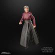 Hasbro HASF7036 - Star Wars: Ahsoka Black Series Actionfigur Morgan Elsbeth 15 cm