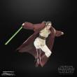 Hasbro HASG0011 - Star Wars: The Acolyte Black Series Actionfigur Jedi Master Indara 15 cm