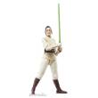 Hasbro HASG0011 - Star Wars: The Acolyte Black Series Actionfigur Jedi Master Indara 15 cm