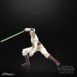 Hasbro HASG0011 - Star Wars: The Acolyte Black Series Actionfigur Jedi Master Indara 15 cm