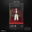 Hasbro HASG0011 - Star Wars: The Acolyte Black Series Actionfigur Jedi Master Indara 15 cm