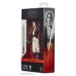 Hasbro HASG0011 - Star Wars: The Acolyte Black Series Actionfigur Jedi Master Indara 15 cm