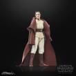 Hasbro HASG0011 - Star Wars: The Acolyte Black Series Actionfigur Jedi Master Indara 15 cm