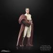 Hasbro HASG0011 - Star Wars: The Acolyte Black Series Actionfigur Jedi Master Indara 15 cm