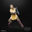Hasbro HASG0013 - Star Wars: The Acolyte Black Series Actionfigur Jedi Master Sol 15 cm