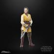 Hasbro HASG0013 - Star Wars: The Acolyte Black Series Actionfigur Jedi Master Sol 15 cm