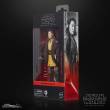 Hasbro HASG0013 - Star Wars: The Acolyte Black Series Actionfigur Jedi Master Sol 15 cm