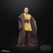Hasbro HASG0013 - Star Wars: The Acolyte Black Series Actionfigur Jedi Master Sol 15 cm