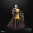 Hasbro HASG0013 - Star Wars: The Acolyte Black Series Actionfigur Jedi Master Sol 15 cm