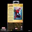 Hasbro HASG0627 - The Amazing Spider-Man Marvel Legends Actionfigur Spider-Man Hellfire Gala 15 cm