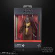 Star Wars: The Acolyte Black Series Actionfigur Jedi Master Kelnacca 15 cm