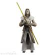 Hasbro HASG0887 - Star Wars: The Clone Wars Black Series Actionfigur Jedi Temple Guard 15 cm