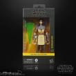 Hasbro HASG2587 - Star Wars: The Clone Wars Black Series Actionfigur Qunlan Vos 15 cm