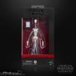 Hasbro HASG2590 - Star Wars Episode II Black Series Actionfigur Taun We 15 cm