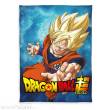 Herding HHE7616402036 - Dragon Ball Super Flanell-Fleecedecke 150 x 200 cm