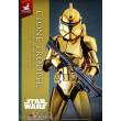Star Wars Actionfigur 1/6 Clone Trooper (Gold Chrome Version) Exclusive 30 cm
