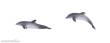 Kato K24-715 - 2er Set Delphine