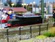 VELMO LDS170307 - Lokdecoder Multiprotokoll für DCC und SelecTRIX , Passend für Loktyp BR194, E-94, DR294