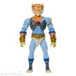 Mattel MATTJFW96 - Masters of the Universe x ThunderCats Actionfigur Tygra 14 cm