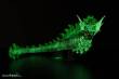 Dark Nights: Metal DC Multiverse Actionfigur The Joker Dragon Glow in the Dark Edition (Gold Label) 25 cm