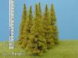 Model Scene MO154 - Lärche herbst 140-160 mm (3x)