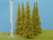 Model Scene MO204 - Lärche herbst 180-220 mm (3x)