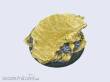 Micro Art Studio MSB00243 - Shale Bases, WRound 50mm (1)