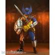 NECA NECA52280 - Dungeons & Dragons Actionfigur 50th Anniversary Warduke on Blister Card 18 cm