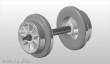 NPE NZ 33270 - Einfachspeiche grau 10mm