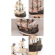 OcCre OC12012 - Cinse Negro Black Swan - Massstab 1:75