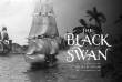 OcCre OC12012 - Cinse Negro Black Swan - Massstab 1:75