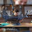 OcCre OC14010 - fliegender Holländer Maßstab 1:50