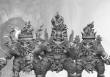 Para Bellum PBW3316 - Dweghom: Lost