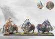 Para Bellum PBW4419 - Nords: Goltr Beastpack