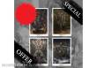 Para Bellum PBW6548 - Conquest Iconic Art Prints - Set of 4
