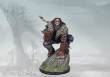 Para Bellum PBW7425 - Nords: Savage (Officer)