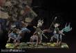 Para Bellum PBW9003 - Wadrhun: Raptor Riders
