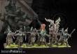 Para Bellum PBW9005 - Wadrhun: Hunters