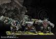 Para Bellum PBW9006 - Wadrhun: Warbred