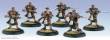 Warmachine PIP31087 - Cygnar Long Gunners Infantry Box (10) (repack)