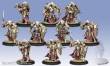 Warmachine PIP32088 - Protectorate Exemplar Errants Unit Box (plastic)