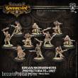 Warmachine PIP32101 - Protectorate Idrian Skirmishers Idrian Ally Unit Box (10)