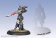 Warmachine PIP35022 - Retribution Nayl - Solo Blister