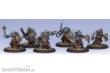 Hordes PIP71013 - Trollblood Kriel Warrior Unit Box